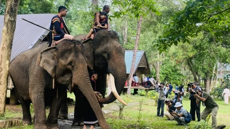 Văn nghệ sĩ TPHCM đi thực tế sáng tác tại Đắk Lắk