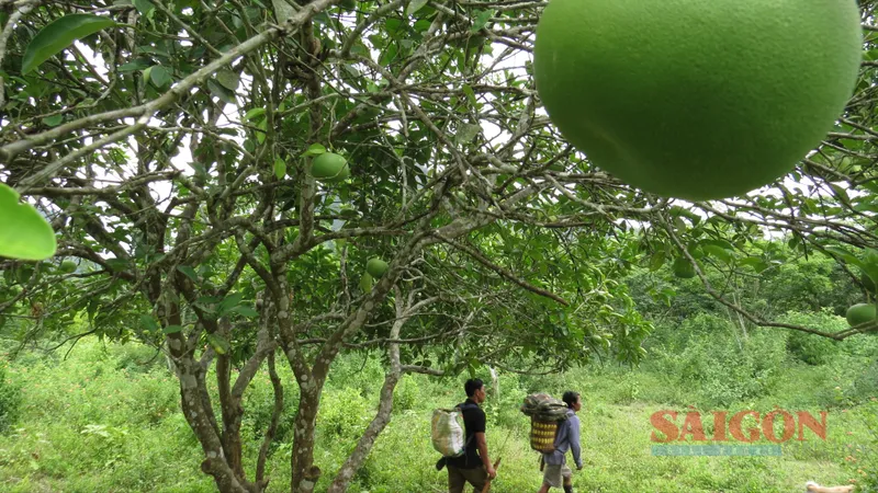 Bên trong 10 hang động nơi người đàn ông 91 tuổi sinh sống