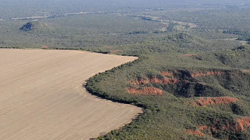 Một trong những thảo nguyên rộng lớn của vùng Cerrado (Brazil) đang bị sa mạc hóa. Ảnh: WWF