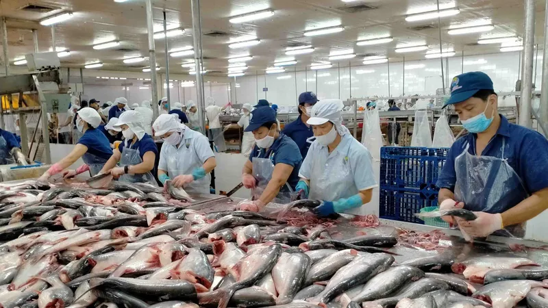 Hoa Kỳ giữ thuế chống bán phá giá bằng 0 đối với cá tra - basa Việt Nam