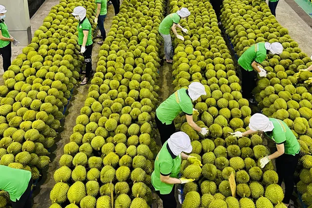Xây dựng thương hiệu để nông sản Việt cạnh tranh trên thị trường quốc tế