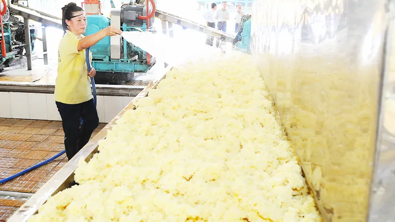 Xuất khẩu cao su nguyên liệu mang lại giá trị không cao. Ảnh: THÀNH TRÍ