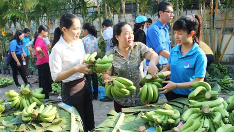 Giá trị sản xuất nông nghiệp TPHCM tăng hơn 10.000 tỷ đồng 