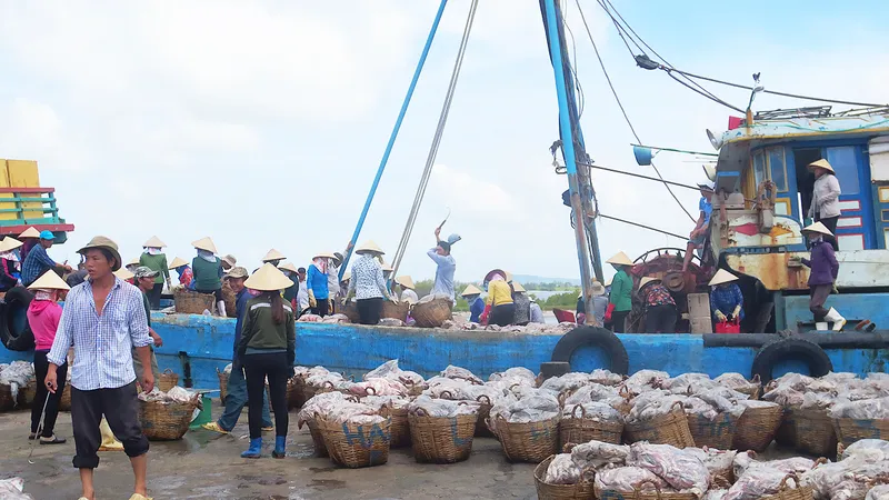Đỏ mắt tìm bạn ghe