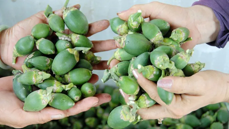 Giá cau tăng đột biến, người trồng bội thu