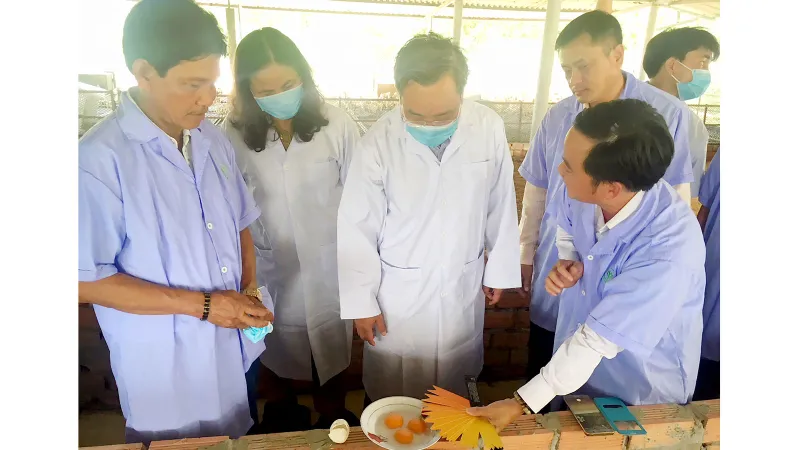 Đoàn khảo sát kiểm tra chất lượng trứng vịt