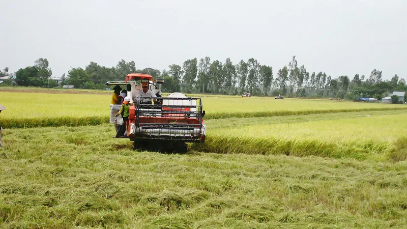 ĐBSCL là vùng sản xuất nông nghiệp trọng điểm, nên nhu cầu sử dụng máy móc rất lớn