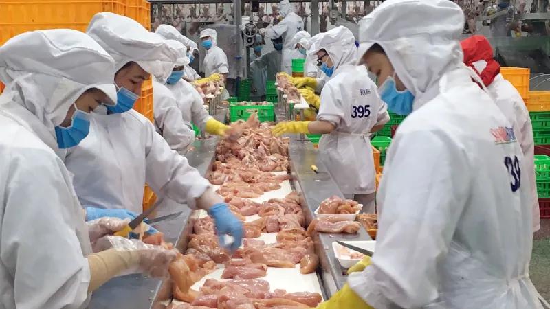 Hoàn thiện quy trình sản xuất chuyên nghiệp