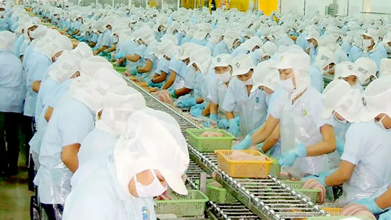 Quản lý chặt nguyên liệu hải sản nhập khẩu 