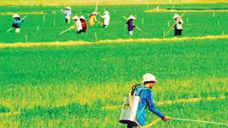 Hội đồng điều phối vùng - Phòng thí nghiệm chính sách