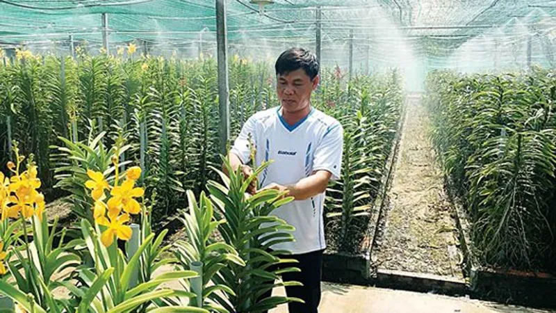 83% lao động nông nghiệp qua đào tạo có việc làm