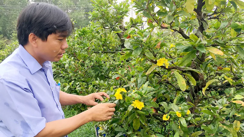 Vui buồn hoa tết 