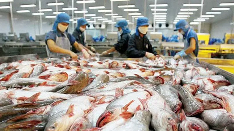 Không đồng ý cách áp thuế của Mỹ cho cá tra, cá basa Việt Nam