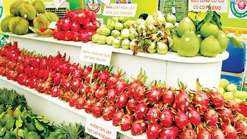 Tín hiệu vui xuất khẩu trái cây