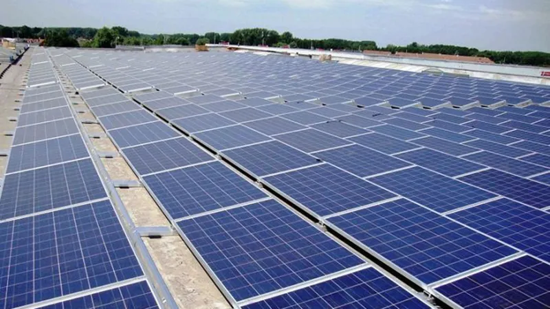 Bình Định đầu tư 1.440 tỷ đồng xây dựng Nhà máy điện mặt trời 