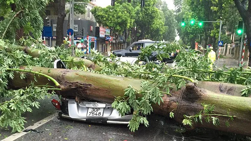 Bão Bebinca sẽ gây mưa lớn ở Trung Lào, lũ sông Cửu Long lên 4m