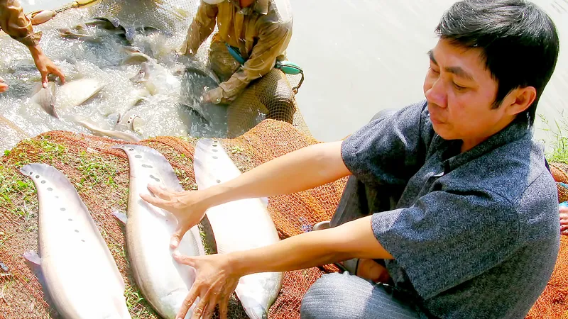 Chọn nông sản chủ lực xây dựng thương hiệu 
