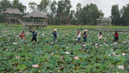 Du lịch Đồng Tháp phấn đấu đạt doanh thu 2.000 tỷ đồng