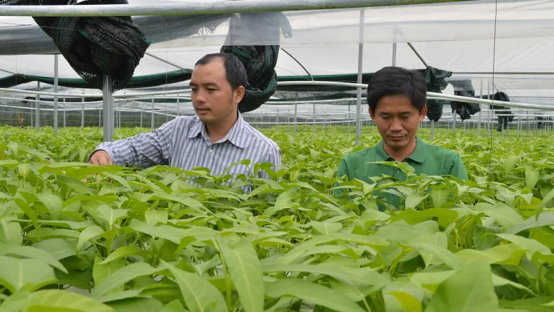 Hội thảo về ứng dụng công nghệ cao trong nông nghiệp 