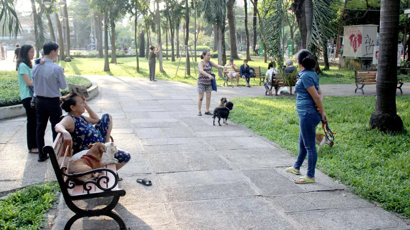 Quản lý chặt việc nuôi chó trong khu dân cư