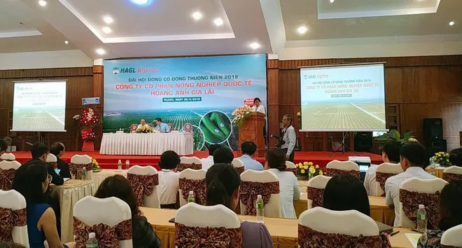 Sự thật việc HAGL bán 20.000 ha đất cho Thaco