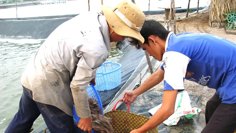 50 năm thực hiện Di chúc của Chủ tịch Hồ Chí Minh: Những mô hình hiệu quả