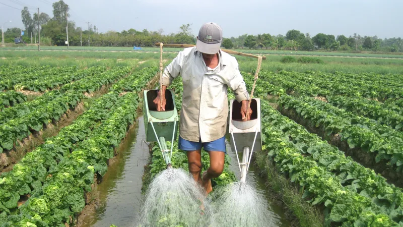 Lợi nhuận tăng thêm 10.672 tỷ đồng từ chuyển đổi cây trồng