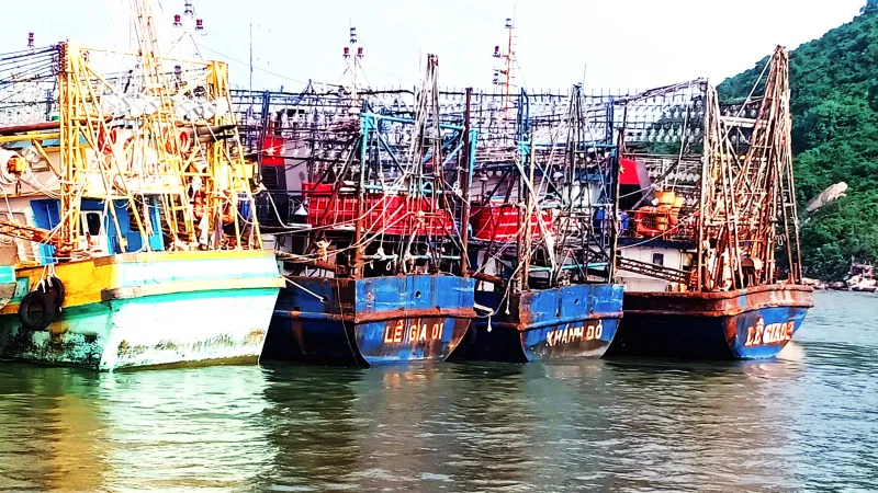 Hậu sự cố 20 tàu vỏ thép 67 kém chất lượng, bảo hiểm bất ngờ “rút lui”