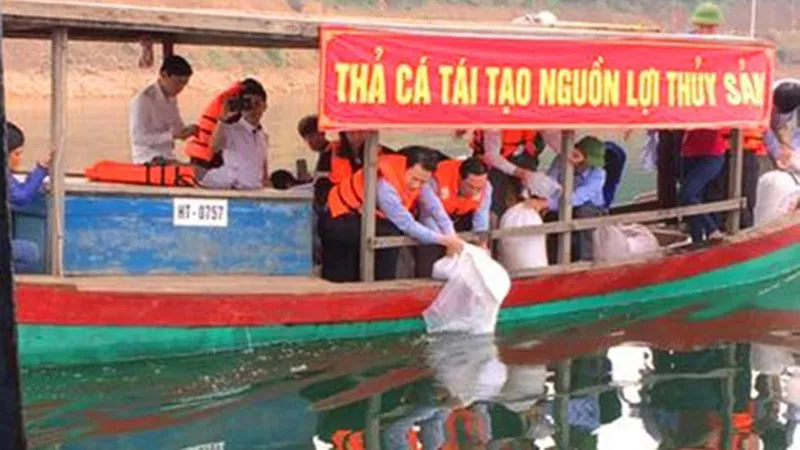 Thả cá giống tái tạo và phát triển nguồn lợi thủy sản