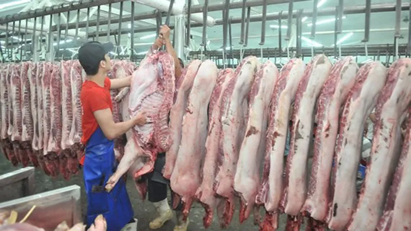 Đà Nẵng chuẩn bị nguồn thịt heo bình ổn giá 
