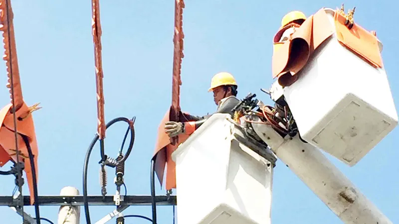 Điện lực TPHCM nỗ lực trở thành doanh nghiệp số