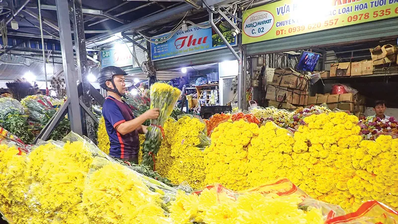 Hàng tết ùa về thành phố