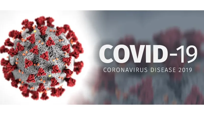 WHO cho rằng “rất nhiều khả năng” virus SARS-CoV-2 xuất phát từ động vật