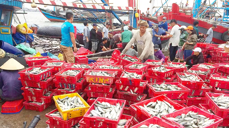 Lộc biển đầu hè