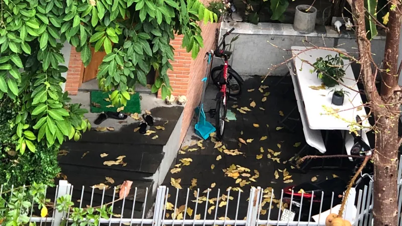 Về nhà sau cơn bão