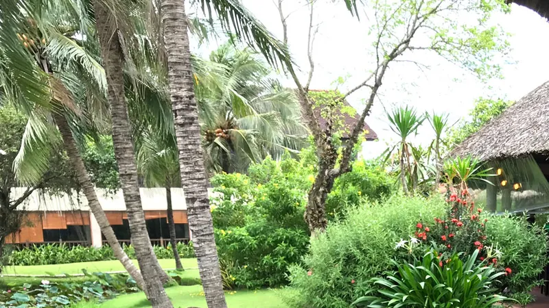 Những cung đường nở hoa
