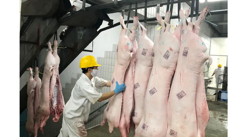 Hệ thống siêu thị đẩy mạnh cung ứng thịt heo, góp phần bình ổn thị trường tiêu dùng