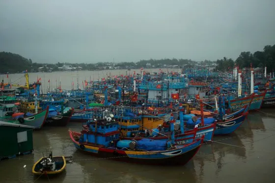 Hỗ trợ tàu thuyền tránh bão Dujuan