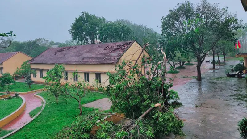 UNDP viện trợ 4 tỷ đồng khắc phục thiên tai ở Quảng Ngãi