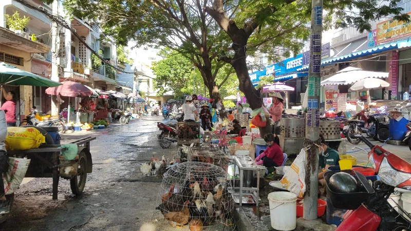 Buôn bán gia cầm sống vẫn tràn lan