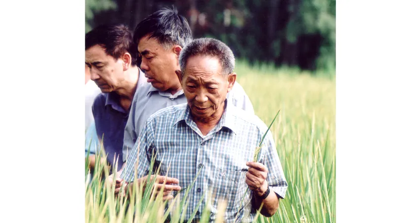 Vĩnh biệt cha đẻ “cây lúa cao hơn đầu người”