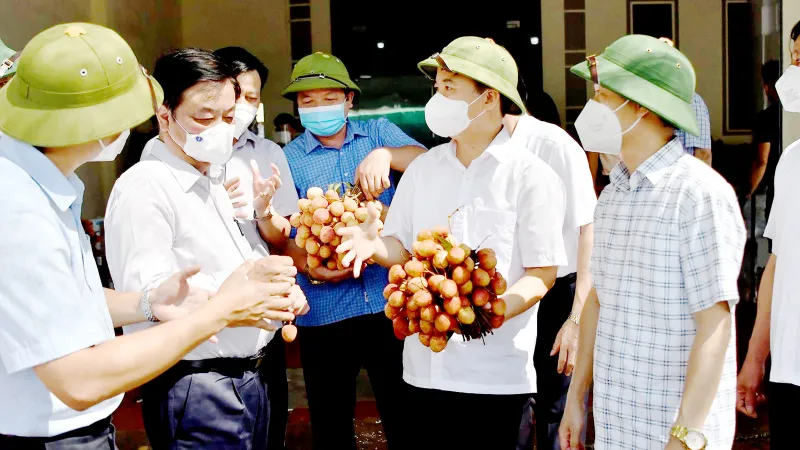 Thương mại điện tử vào cuộc tiêu thụ nông sản