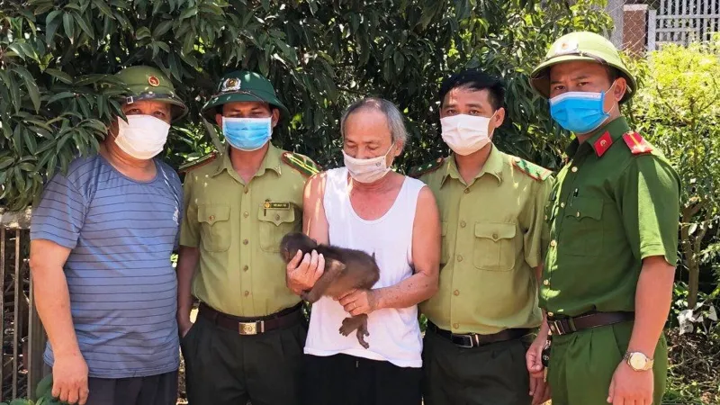 Hà Tĩnh: Người dân giao nộp nhiều cá thể khỉ và rùa quý hiếm