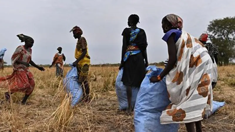 WFP giảm viện trợ lương thực cho Nam Sudan