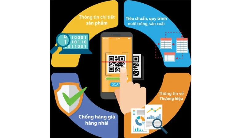 Sàn thương mại điện tử siết truy xuất nguồn gốc hàng hóa 