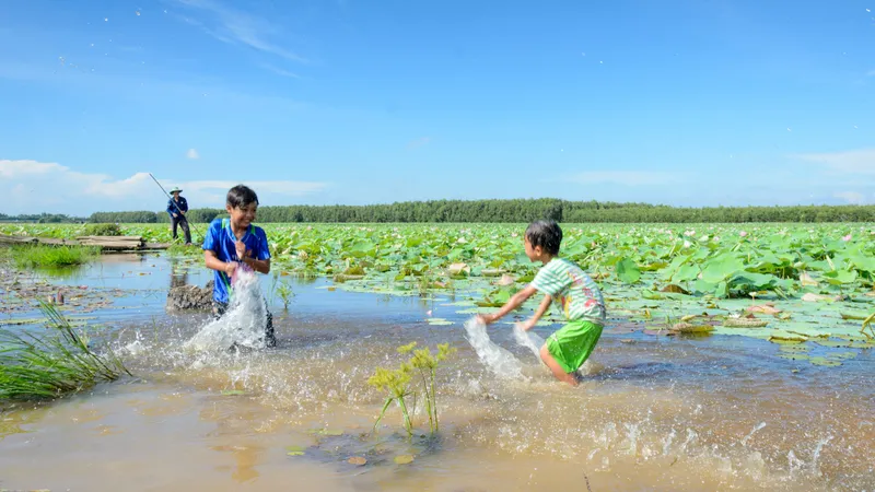 Những ký ức nông thôn 