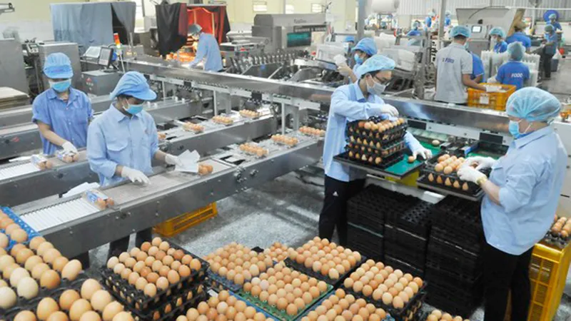 Nhanh chóng triển khai gói hỗ trợ doanh nghiệp