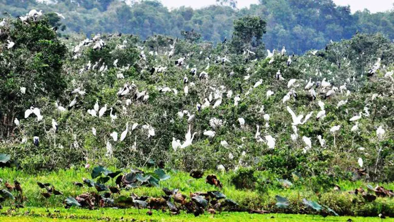 Thúc đẩy đa dạng sinh học