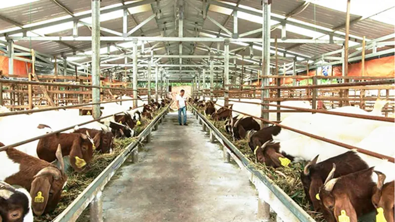 Giảm bớt đầu mối quản lý để “nhẹ gánh” cho nông dân