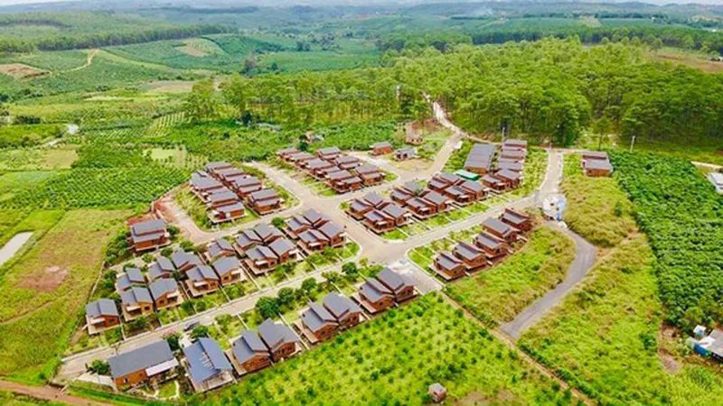 Tập trung điều tra, xử lý tình trạng phân lô, làm đường tại TP Bảo Lộc